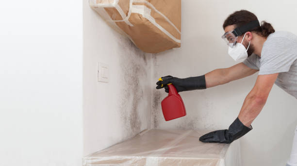 Professional Bathroom Mold Removal technician working in Union, OR