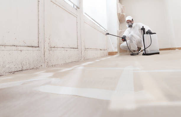 24/7 Emergency Bathroom Mold Removal experts in Union, OR